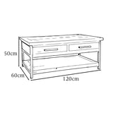 Lowry 2 Drawer Coffee Table Driftwood Lacquered Solid Reclaimed Pine