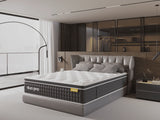 DuoPro Mattress